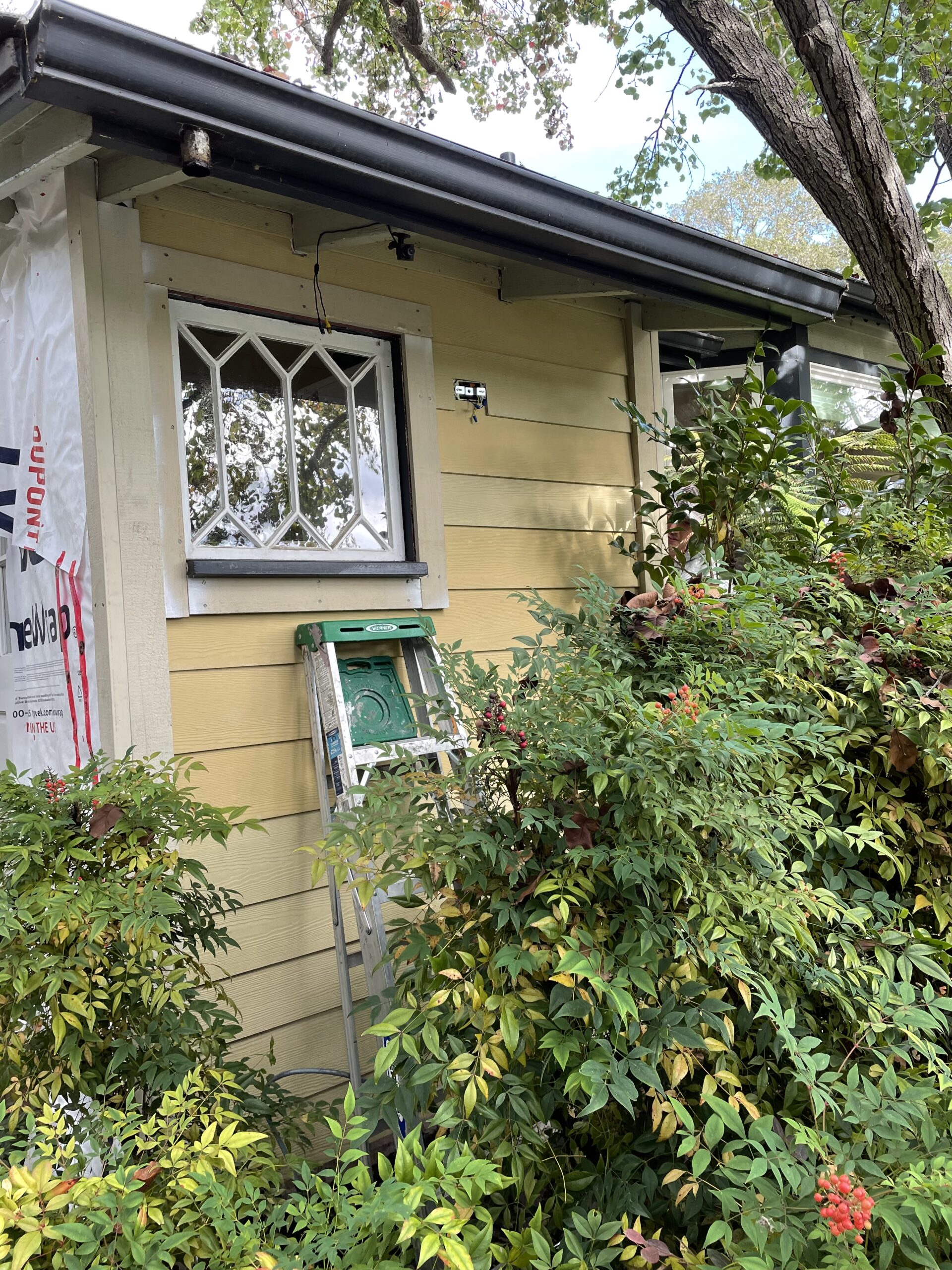 New siding and dry rot repairs