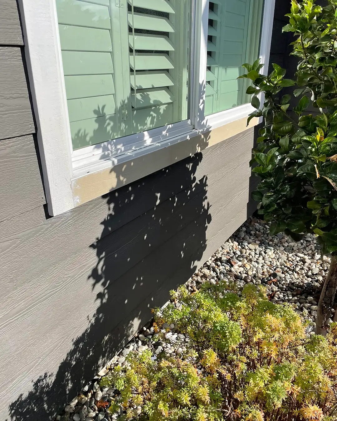 Sonoma County Dry Rot Repair