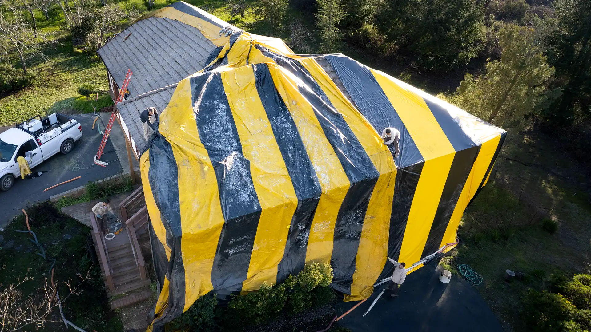 Sebastopol Dry Wood Termite Fumigation Setting up Fumigation Tent