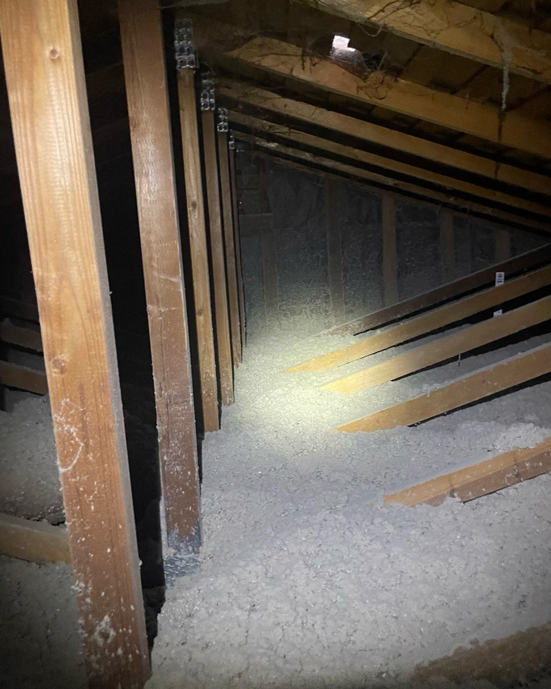 Attic TAP insulation in Sonoma County by Nature Pacific Pest