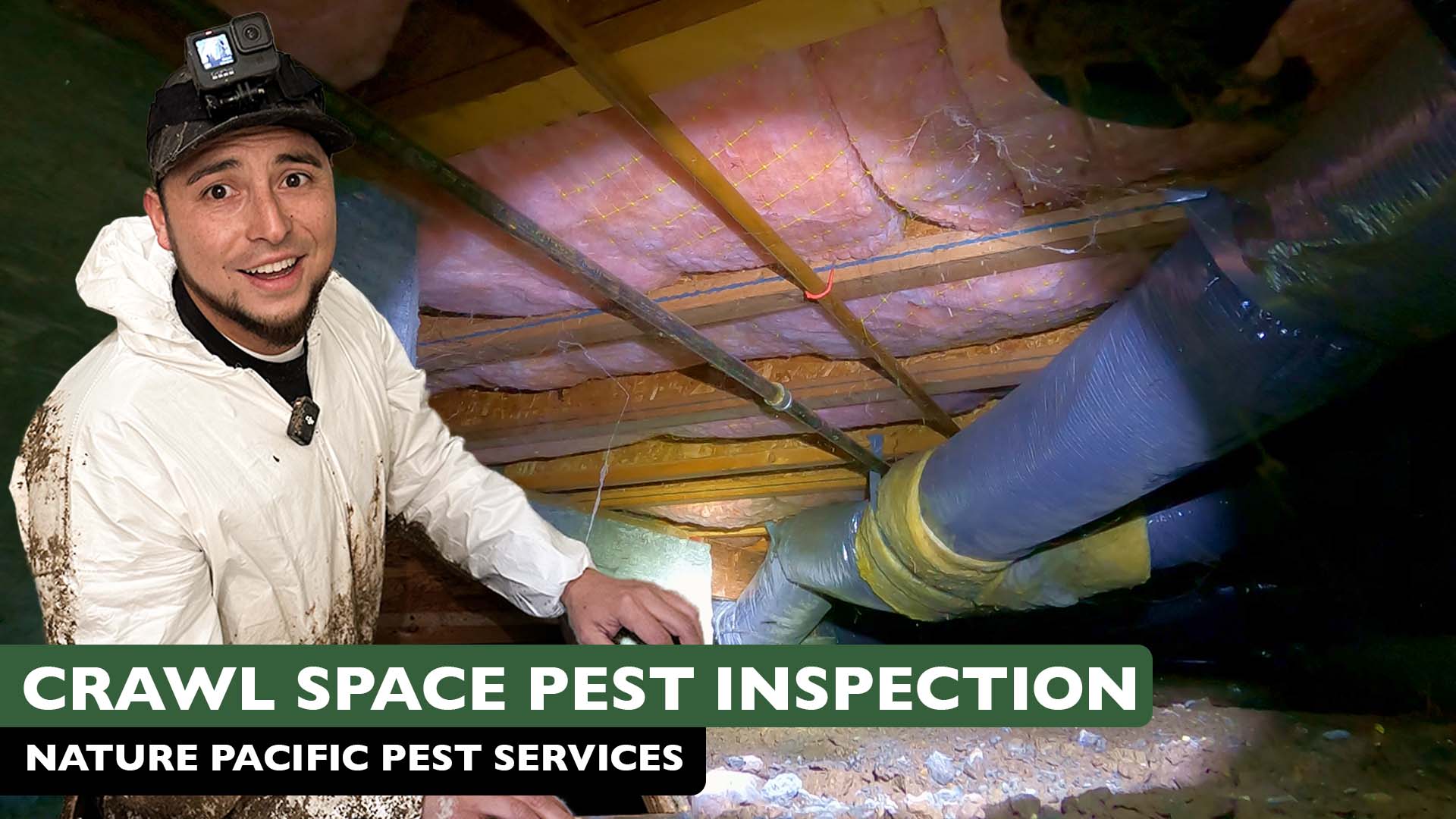 Crawl Space Pest Inspection in Santa Rosa, CA