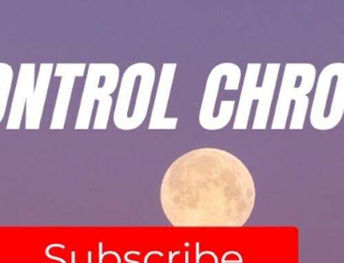 Pest Control Chronicles vlog on YouTube
