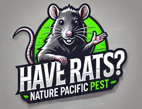 Rats or Mice? Here’s the Process to get your home back.