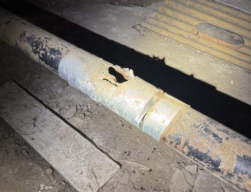 The Importance of Proper Drainage Around Your Home