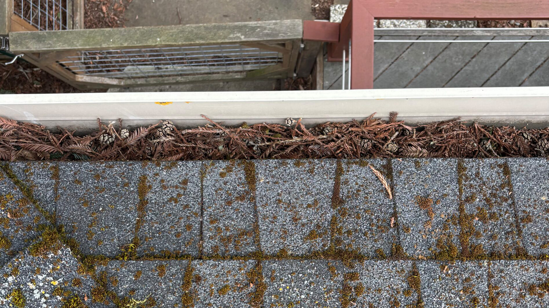 Rodent Inspection Recap Rodent Inspection Recap