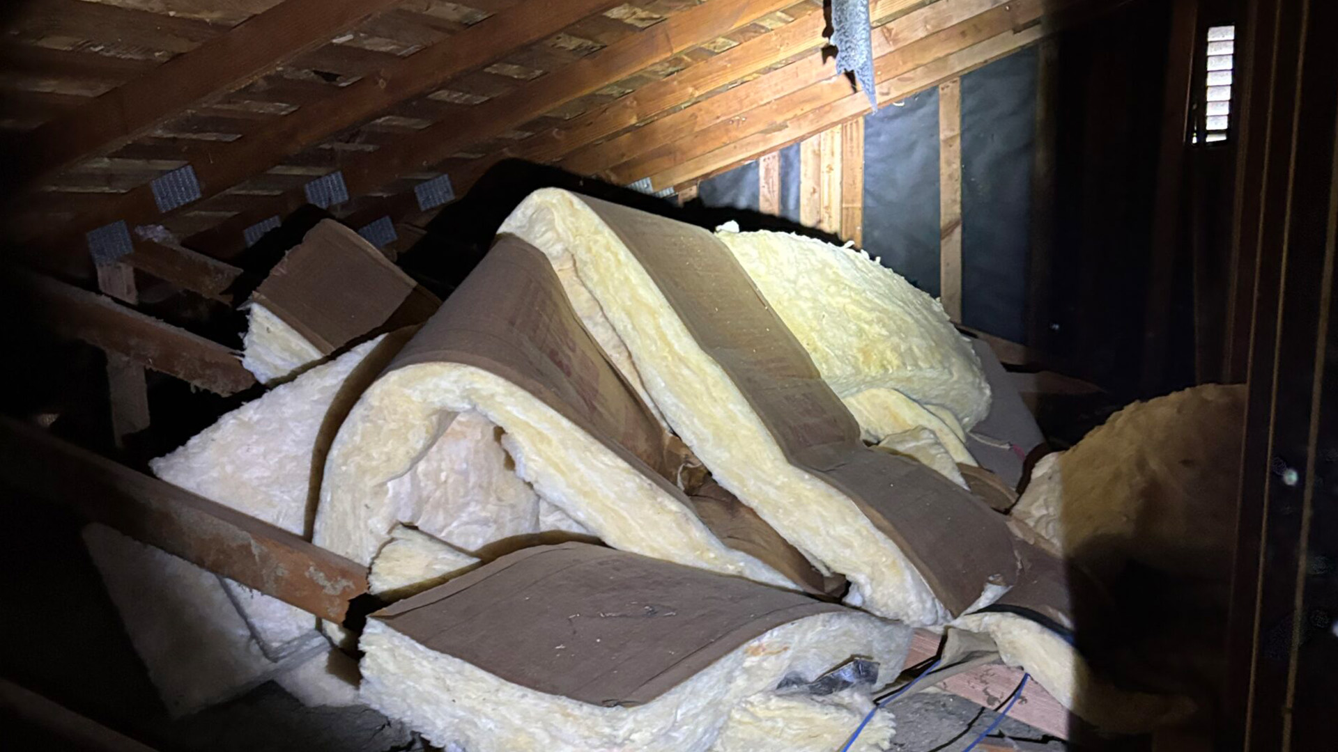 Rohnert Park Pest Inspection Rohnert Park Pest Inspection