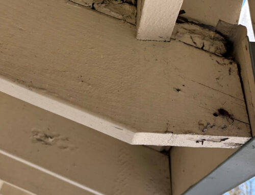 2501 Brookhaven Dr Santa Rosa pest inspection