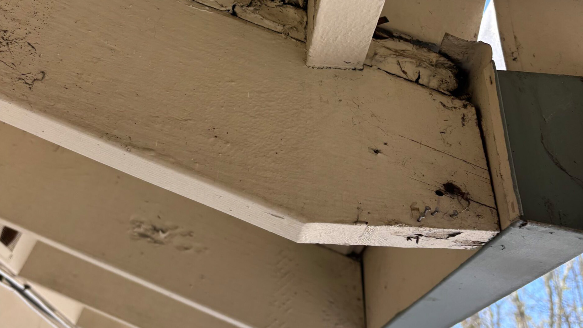 Brookhaven Santa Rosa Pest Inspection