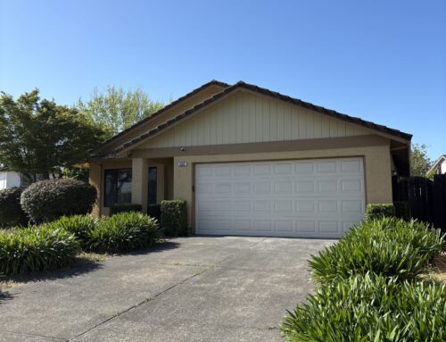 Pest Inspection in Petaluma, California