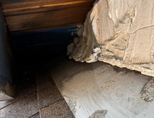 Santa Rosa Pest Inspection Uncovers Subterranean Termites and Structural Concerns