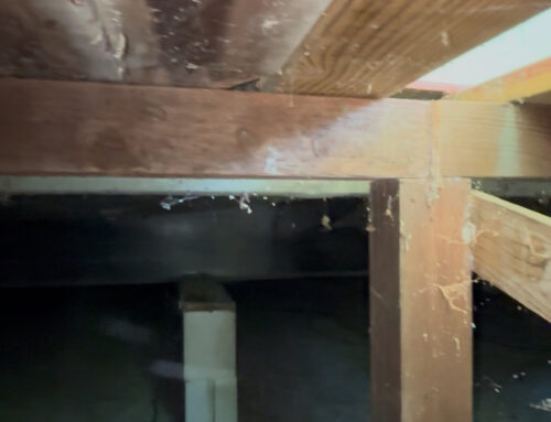 Deck Girders Replace in Sebastopol