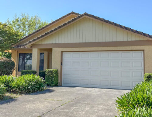 Pest Inspection in Petaluma, California