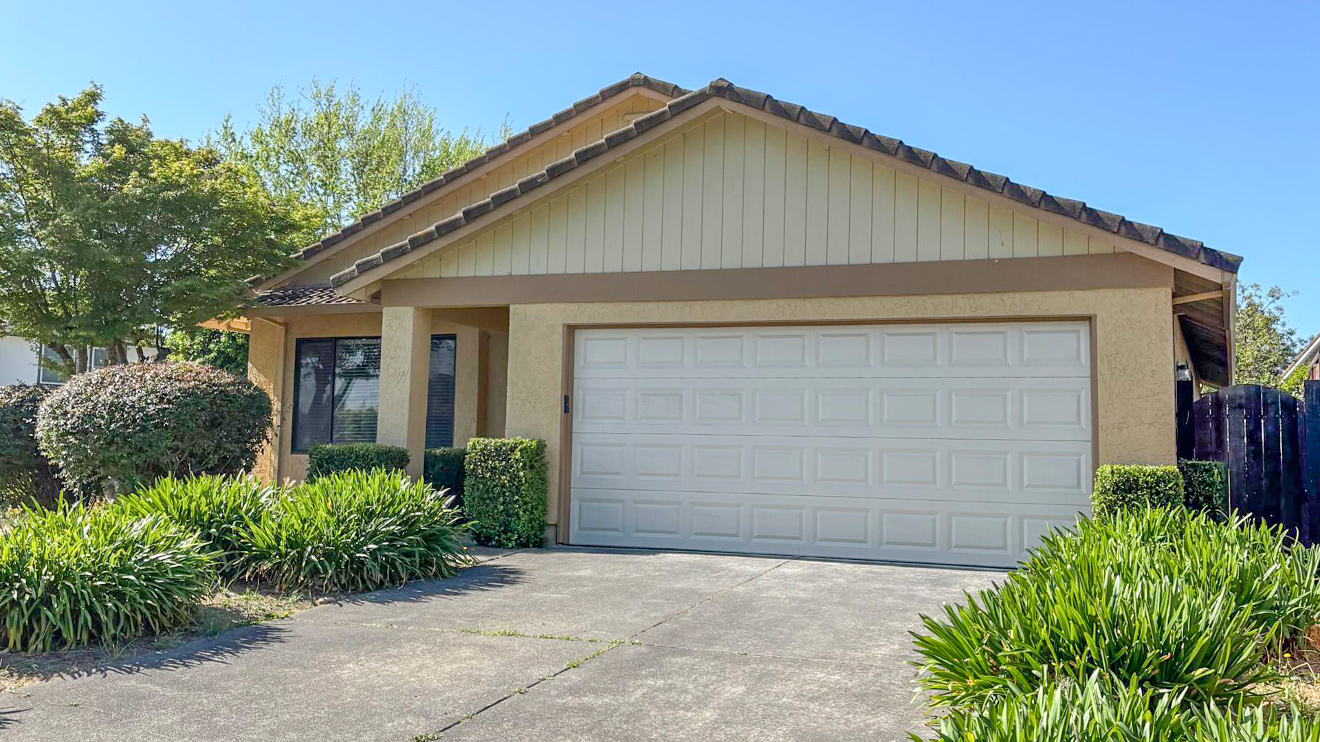 Pest Inspection in Petaluma