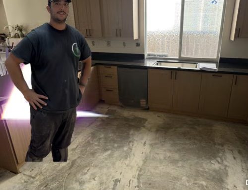 Kitchen Remodels in Santa Rosa