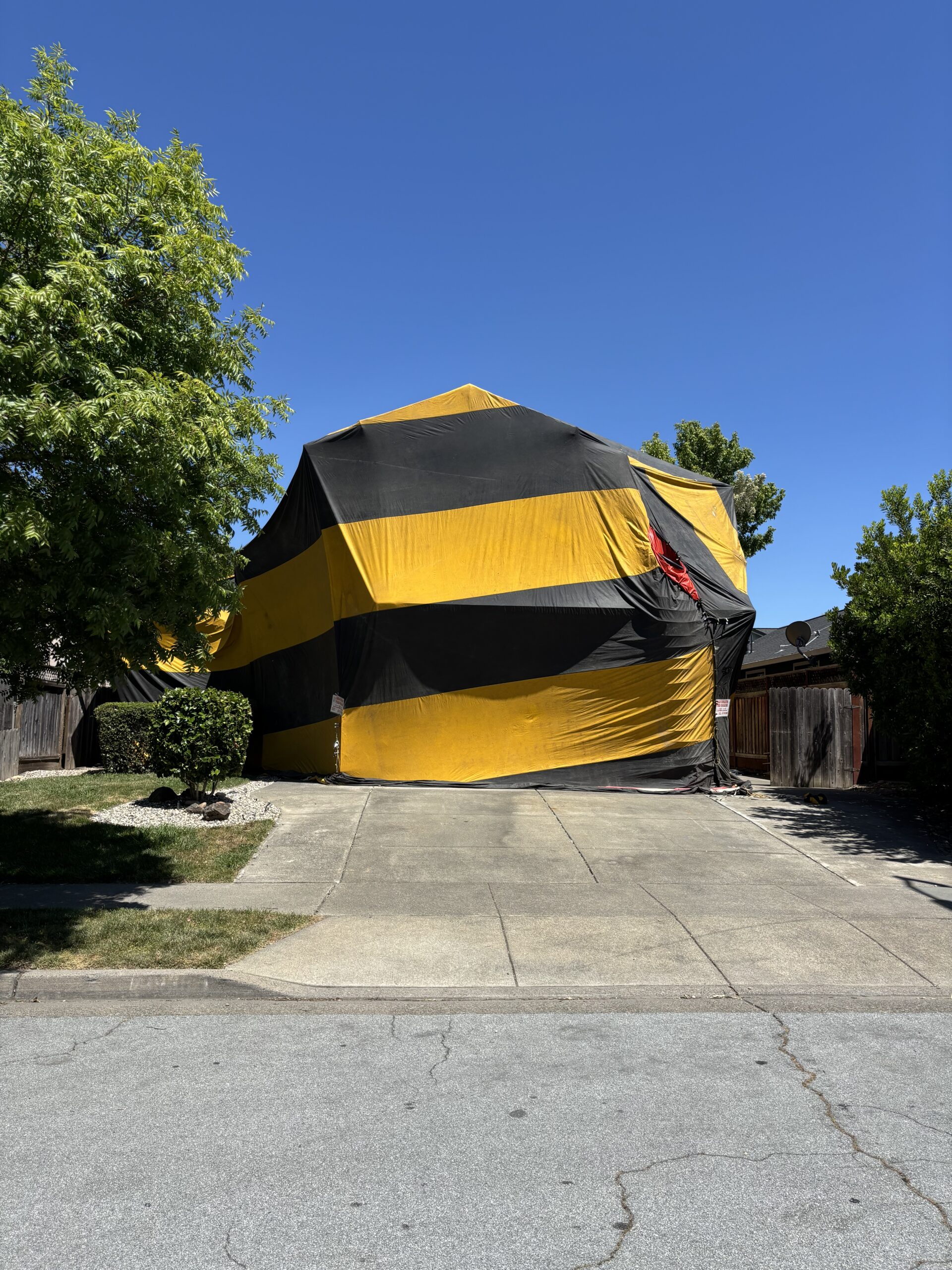 North west Santa Rosa termite fumigation North west Santa Rosa termite fumigation
